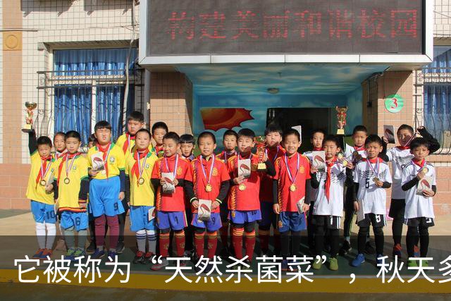 它被称为“天然杀菌菜”，秋天多吃，一预防感冒 ，二健脾开胃促消化