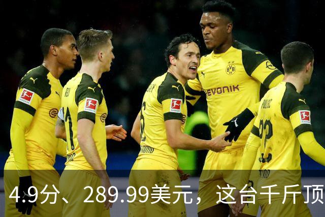 4.9分、289.99美元，这台千斤顶多了白色拉花